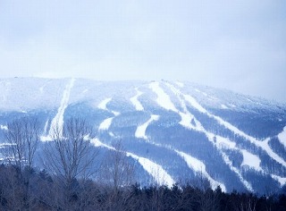 skiski2013.jpg